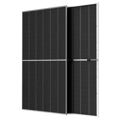 Pack 10 Paneles Solares Bifaciales Trina 710W NEG21C.20 Vertex S+
